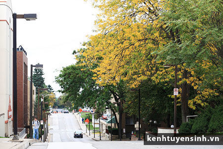 Đào tạo tại trường đại học Pennsylvania State